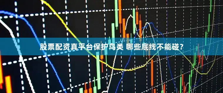 股票配资真平台保护鸟类 哪些底线不能碰？